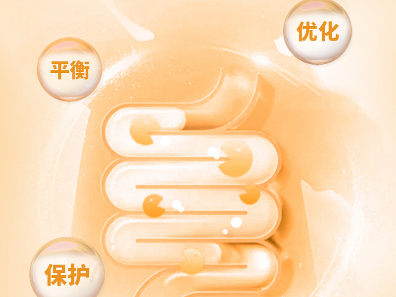 Lactose-Enhanced Probiotic Composition and Its Health Applications
